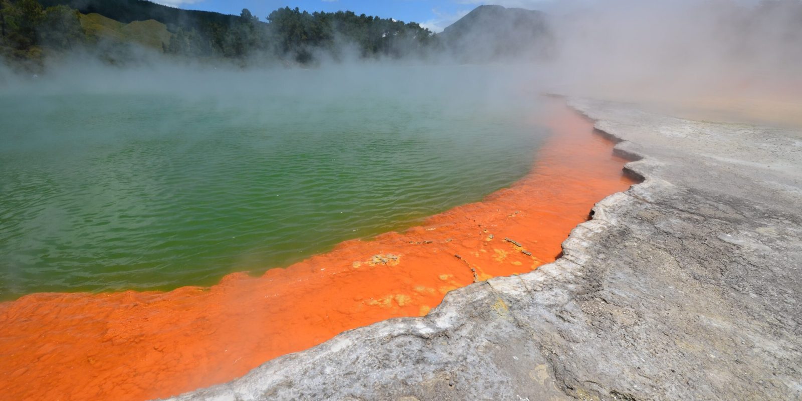 Stopover-en-Rotorua-1-scaled