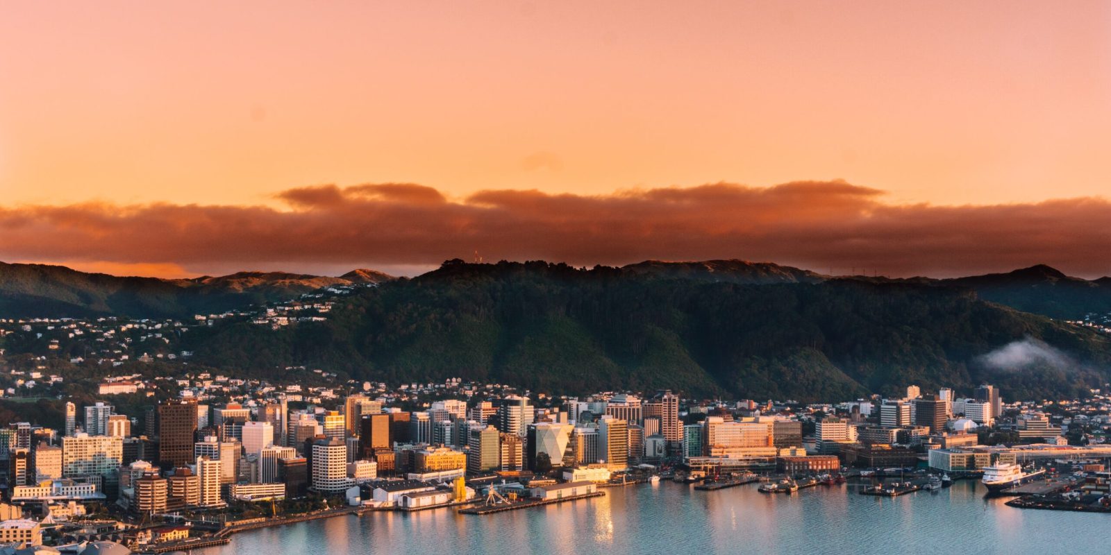 Stopover-en-Wellington-3--scaled