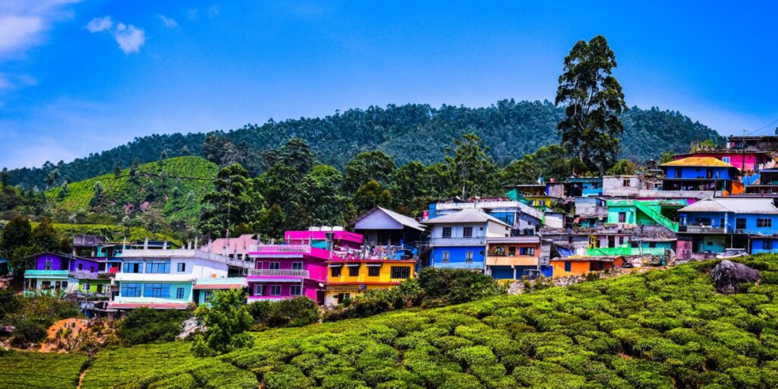 Sur-de-India-2-1024x830