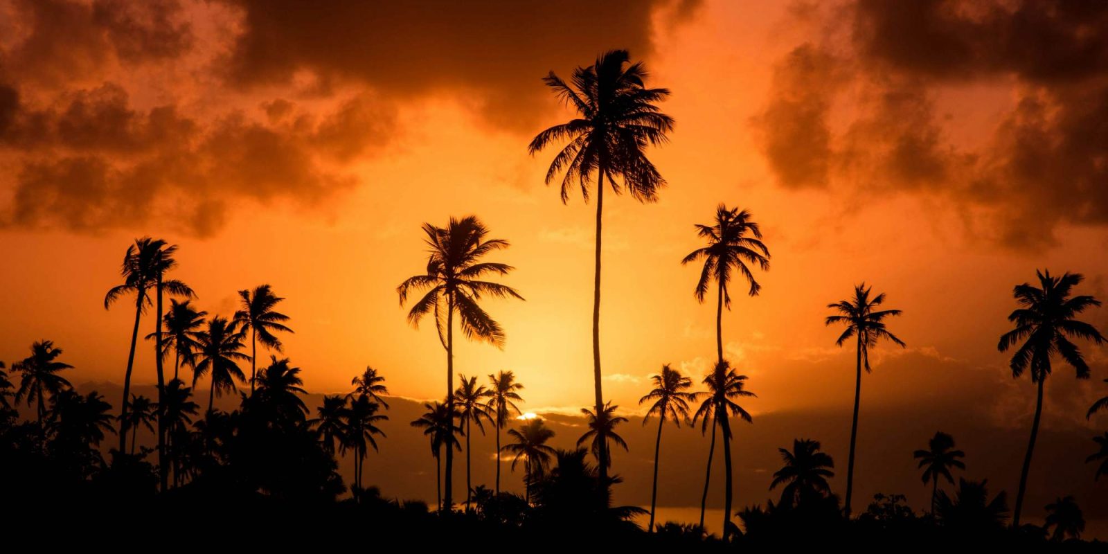 brasil_06