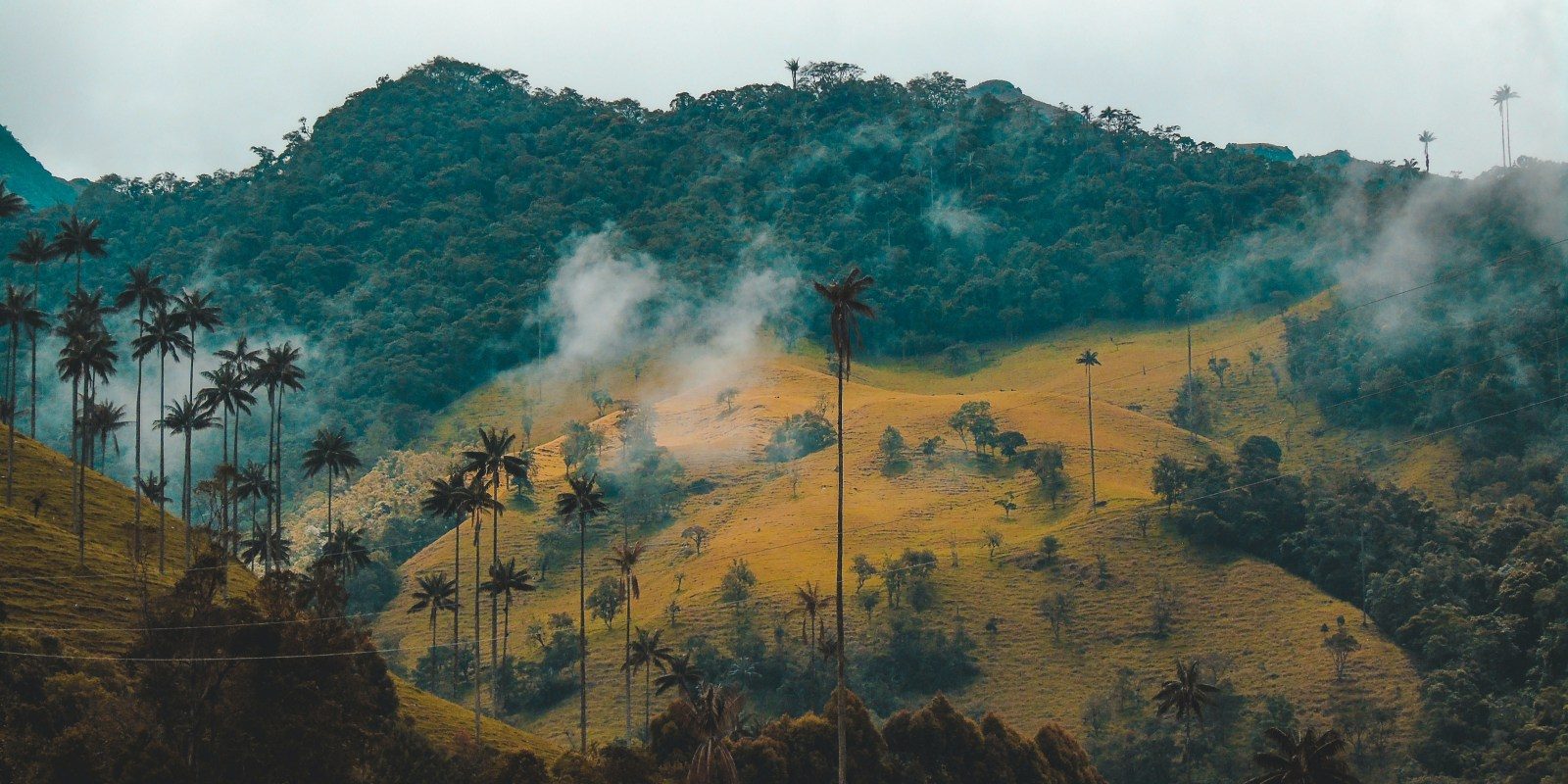 colombia_05