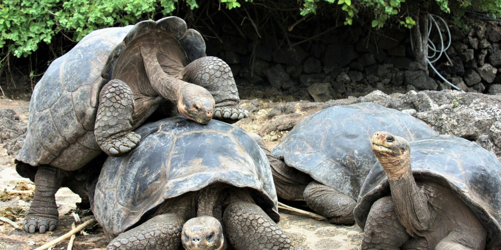 ecuador_05