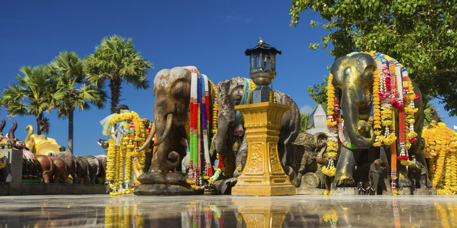 elefante-tailandia