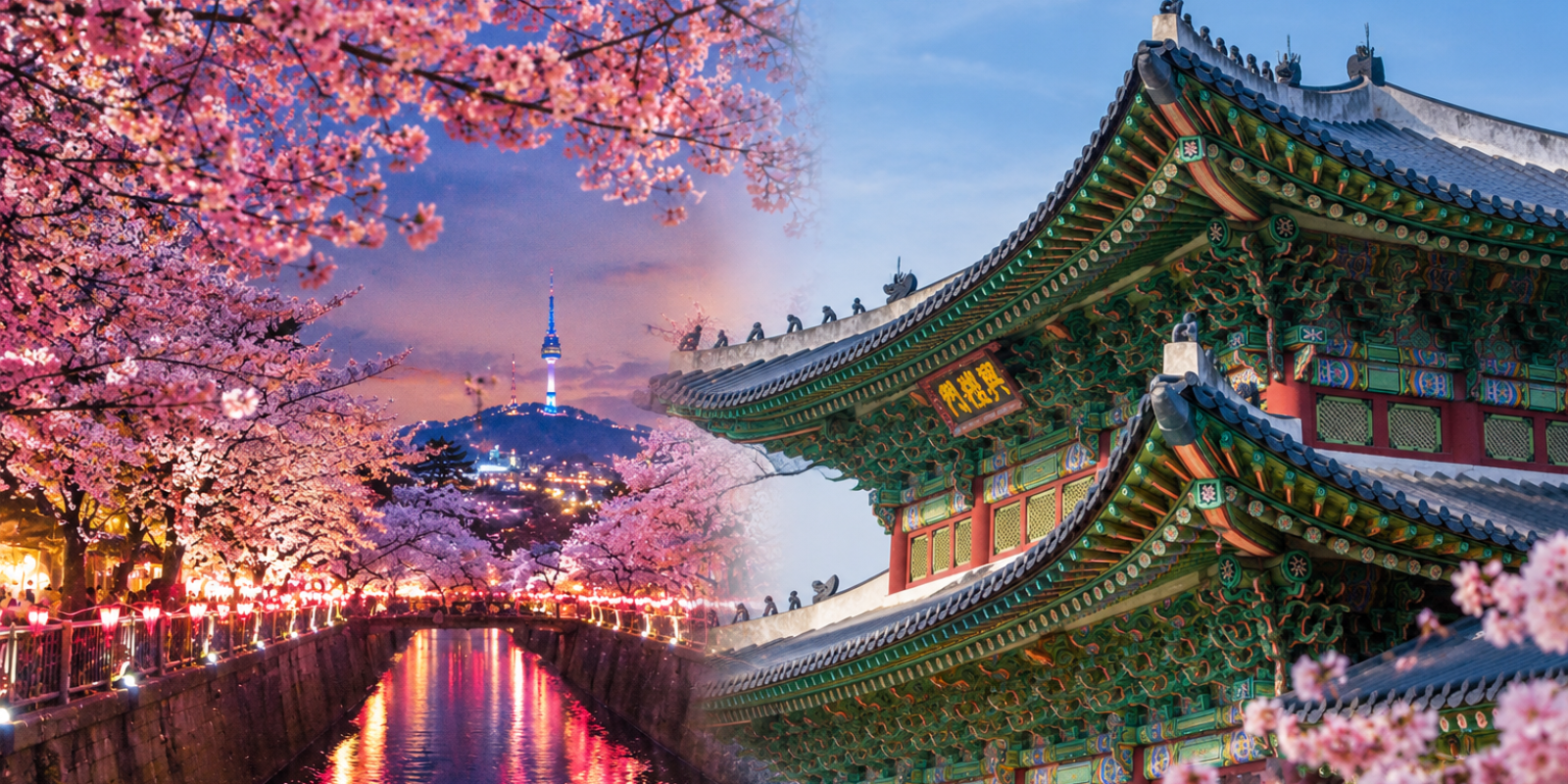 japon y corea