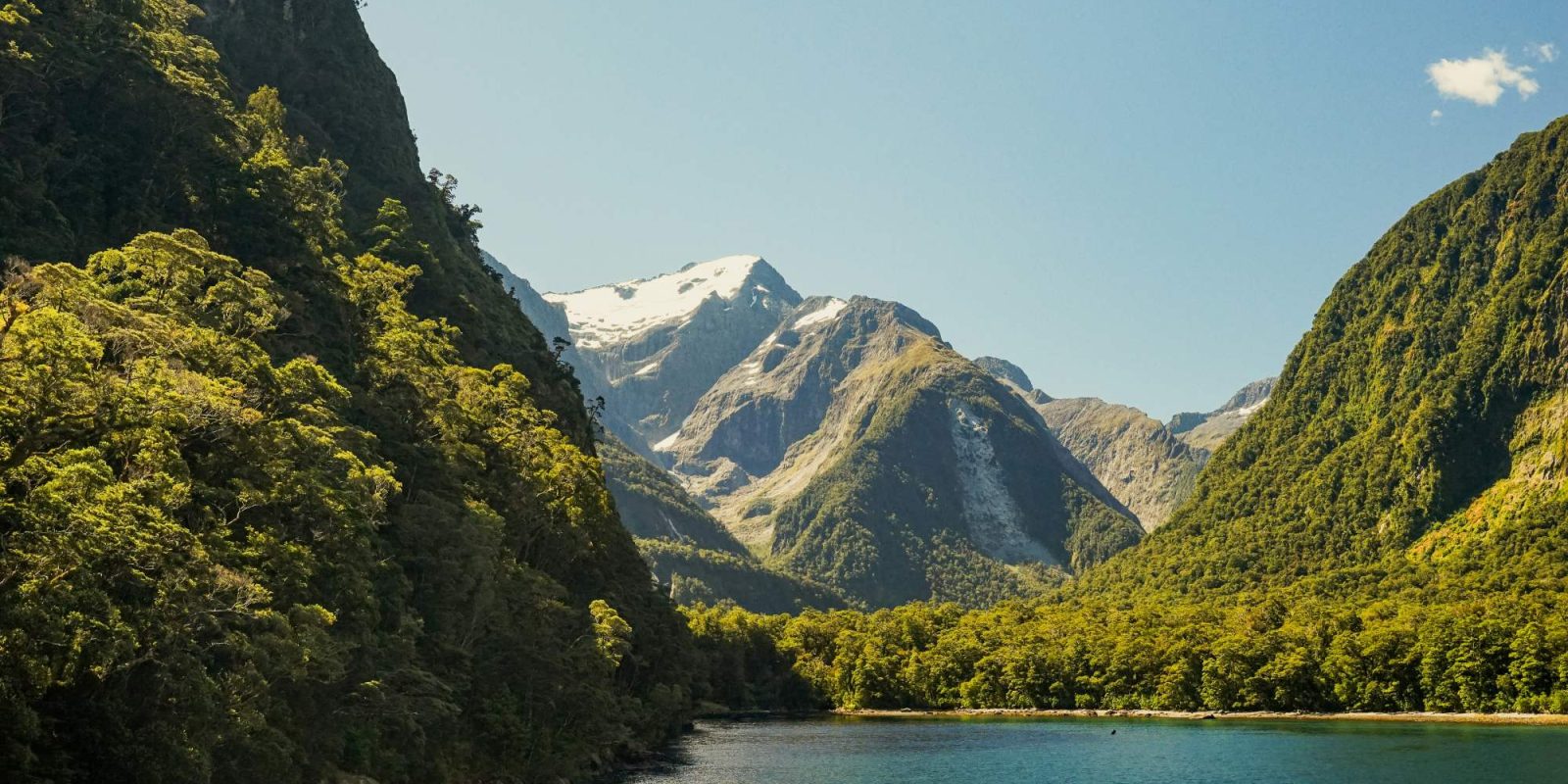 new zealand_05
