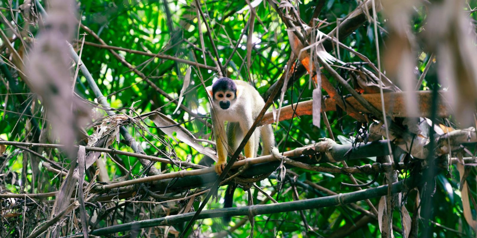 peru_012